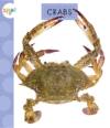 Crabs ( Spot Ocean Animals )