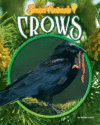 CROWS