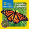 Caterpillar to Butterfly ( Look & Learn )