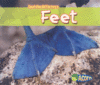 FEET