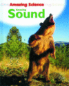 AMAZING SOUND