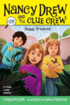 BUGGY BREAKOUT #25 (NANCY DREW CLUE CREW