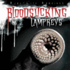 BLOODSUCKING LAMPREYS (REAL LIFE VAMPIRE