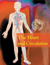 HEART AND CIRCULATION