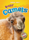 BABY CAMELS