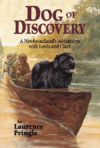 DOG OF DISCOVERY : A NEWFOUNDLAND'S ADVE