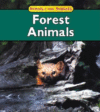 FOREST ANIMALS