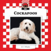 COCKAPOOS