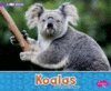 Koalas: A 4D Book (Australian Animals)