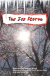 ICE STORM