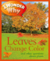 I WONDER WHY TREES CHANGE COLOR