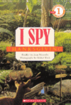 I SPY THANKSGIVING