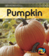 LIFE CYCLE OF A PUMPKIN