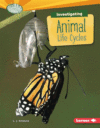 INVESTIGATING ANIMAL LIFE CYCLES