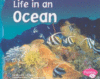 LIFE IN AN OCEAN (LB)