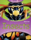 INSECTS SCIENCE KIDS