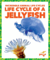 Life Cycle of a Jellyfish ( Incredible Animal Life