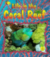 LIFE IN THE CORAL REEF