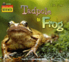 LISTEN-READ-THINK: LIFE CYCLES-TADPOLE T