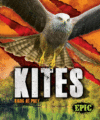 Kites ( Birds of Prey )