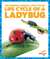 Life Cycle of a Ladybug ( Incredible Animal Life C