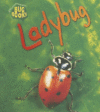 LADYBUG (BUG BOOKS)