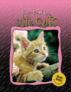 LITTLE CATS