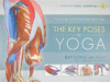 KEY POSES OF YOGA : YOUR GUIDE TO FUNCTI