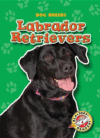 LABRADOR RETRIEVERS