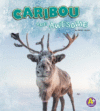 Caribou Are Awesome ( Polar Animals )