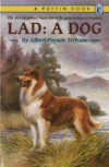 LAD : A DOG