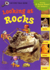 LOOKING AT ROCKS