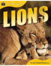 LIONS (ANIMAL LIVES)