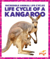Life Cycle of a Kangaroo ( Incredible Animal Life