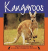 KANGAROOS