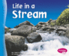 LIFE IN A STREAM