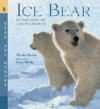 ICE BEAR: READ & WONDER  IN THE STEPS