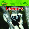 LEMURS ( Amazing Animals )