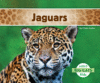 Jaguars (Abdo Kids: Big Cats)