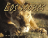 LEONES/LIONS