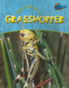 LIFE OF A GRASSHOPPER