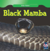 Black Mamba