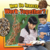 HOW DO INSECTS WORK TOGETHER?