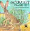 JACKRABBIT & THE PRAIRIE FIRE