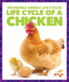 Life Cycle of a Chicken ( Incredible Animal Life C