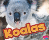 KOALAS