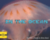 IN THE OCEAN
