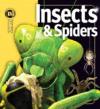 INSECTS & SPIDERS (INSIDERS)