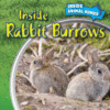 INSIDE RABBIT BURROWS