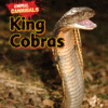KING COBRAS